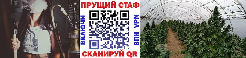 Где можно купить наркотики Сухиничи Галлюциногенные грибы Alpha PVP Бошки Шишки Мефедрон Cocaine