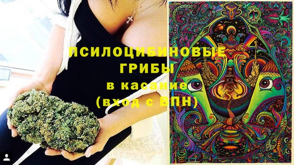 дурь Касимов